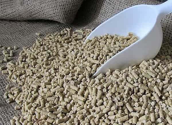تصویر 1 از راهنمای خرید مکمل پروبیوتیک پرندگان + قیمت عالی